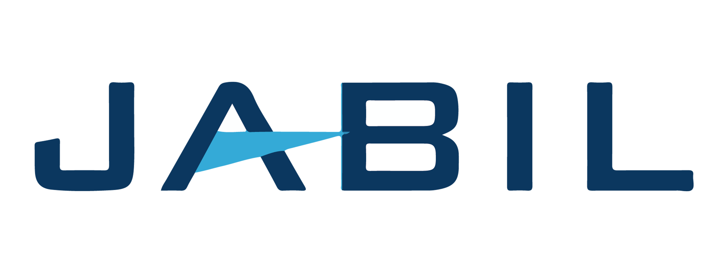 Partner Logo